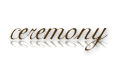wedding ceremony photographer
